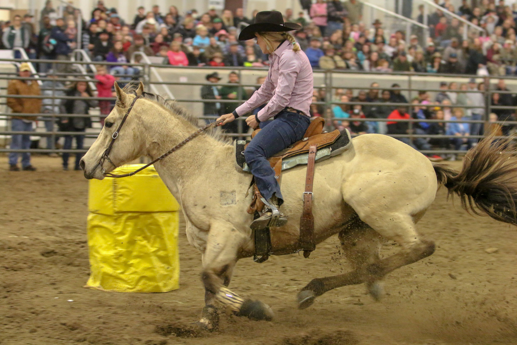 BullBash-59.JPG
